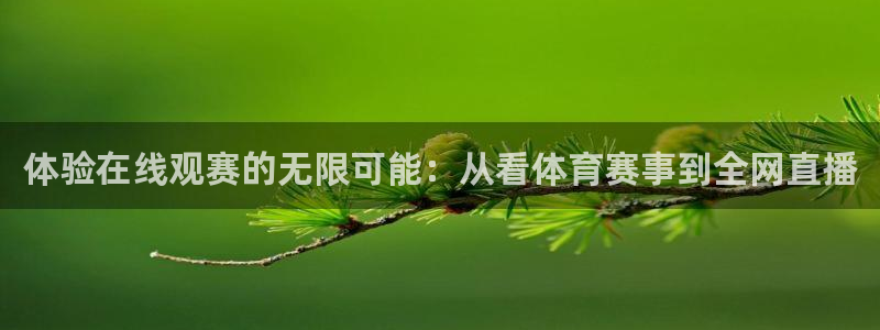 体验在线观赛的无限可能：从看体育赛事到全网直播
