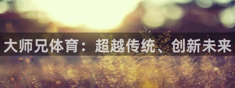大师兄体育：超越传统、创新未来